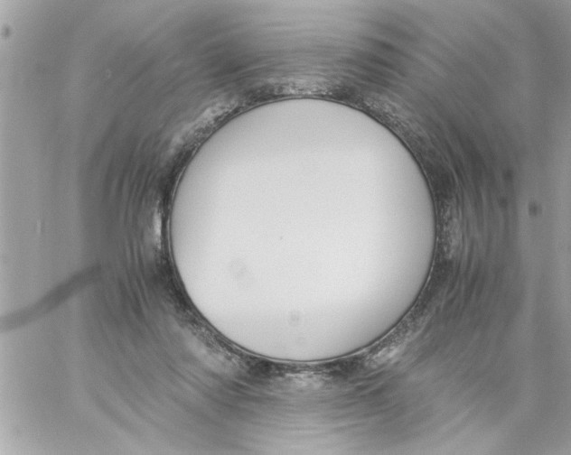 X0000057100310200510071944