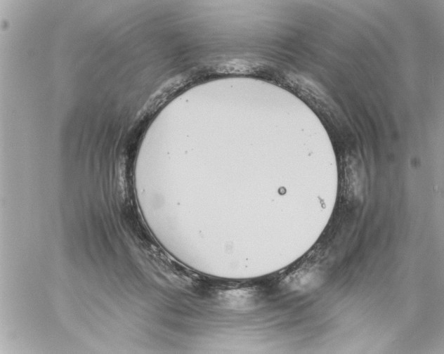 X0000057100312200510071944