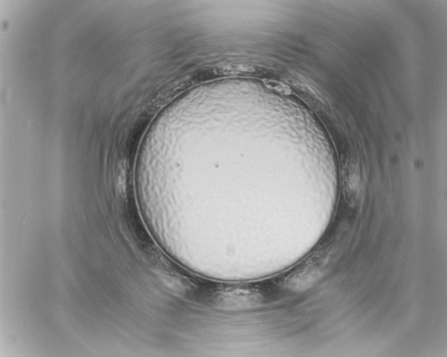 X0000057100315200510071944