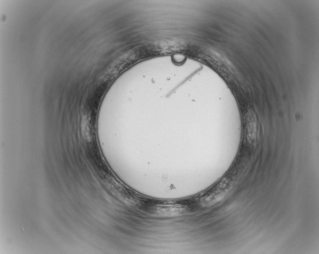 X0000057100316200510071944