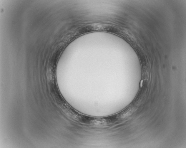 X0000057100317200510071944