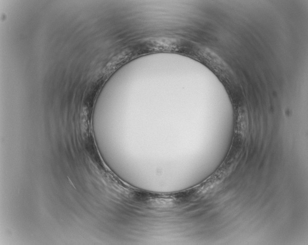 X0000057100318200510071944