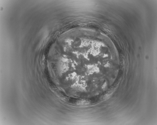 X0000057100319200510071944