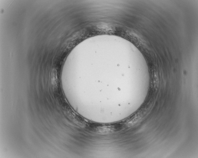 X0000057100320200510071944