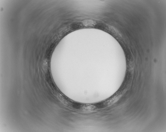 X0000057100321200510071944