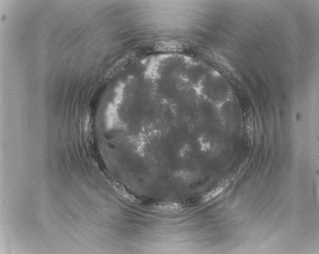 X0000057100322200510071944