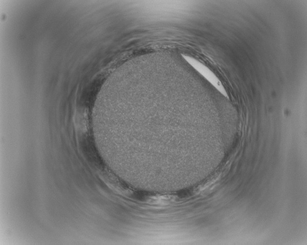 X0000057100323200510071944