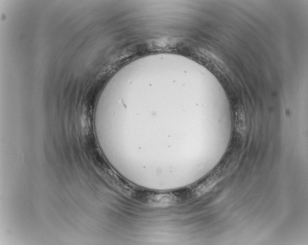 X0000057100324200510071944