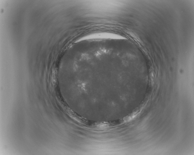 X0000057100325200510071944