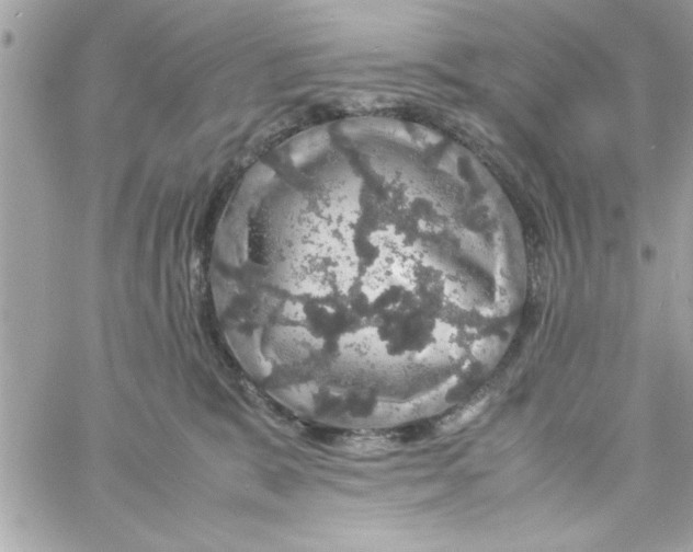 X0000057100327200510071944