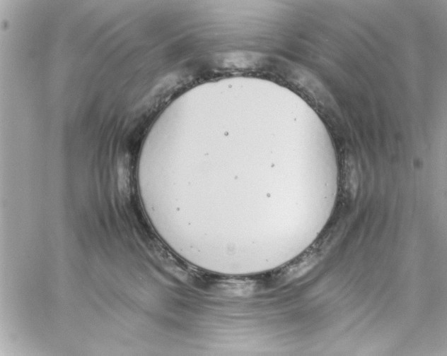 X0000057100328200510071944