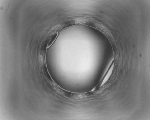 X0000057100329200510071944