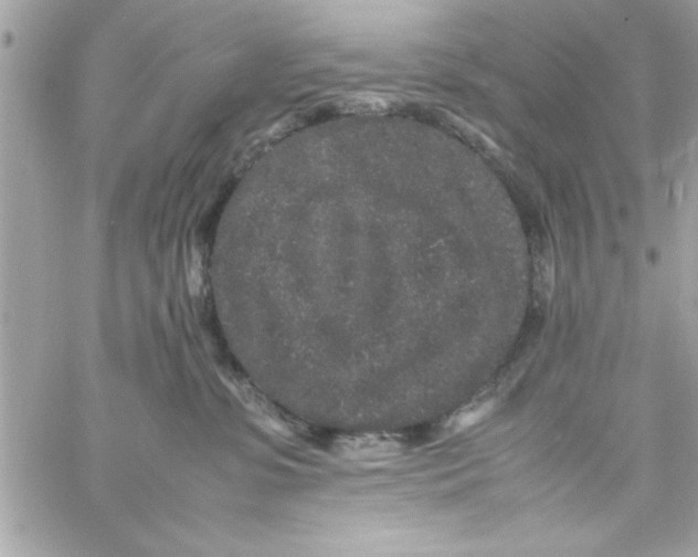 X0000057100331200510071944