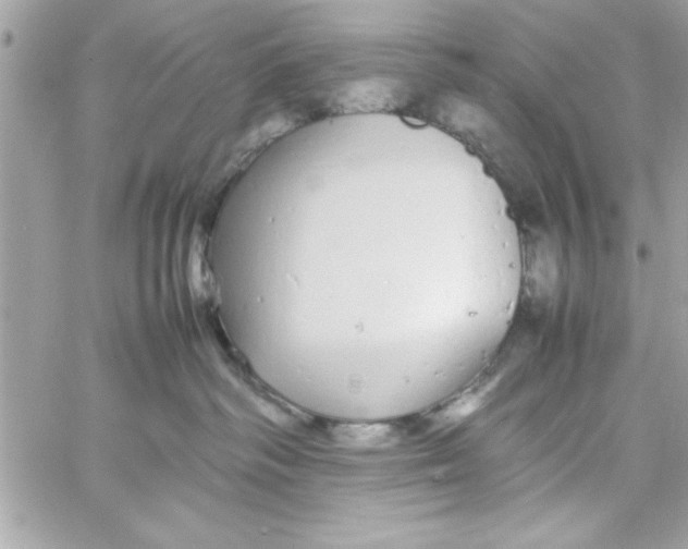 X0000057100334200510071943