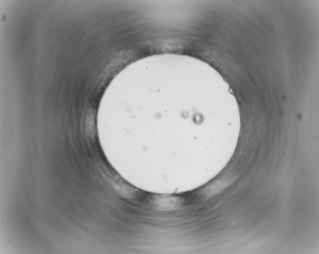 X0000057100336200510071943