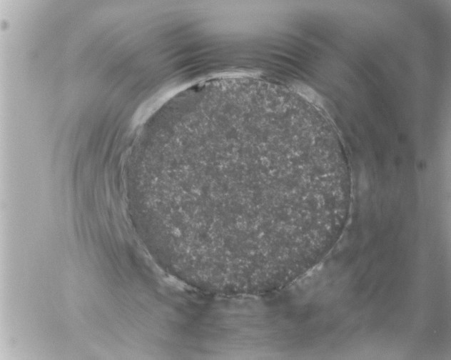 X0000057100337200510071943