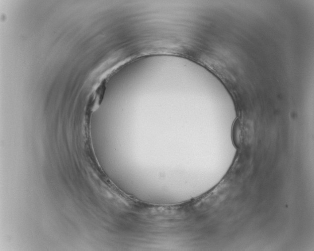 X0000057100338200510071943