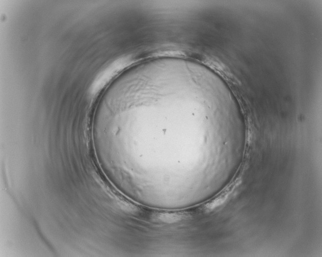 X0000057100341200510071943