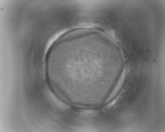 X0000057100342200510071943