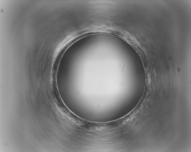 X0000057100344200510071943