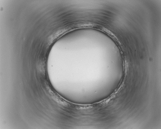 X0000057100345200510071943