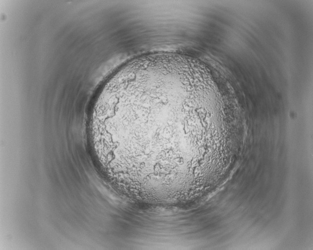 X0000057100346200510071943