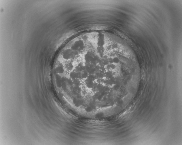 X0000057100347200510071943