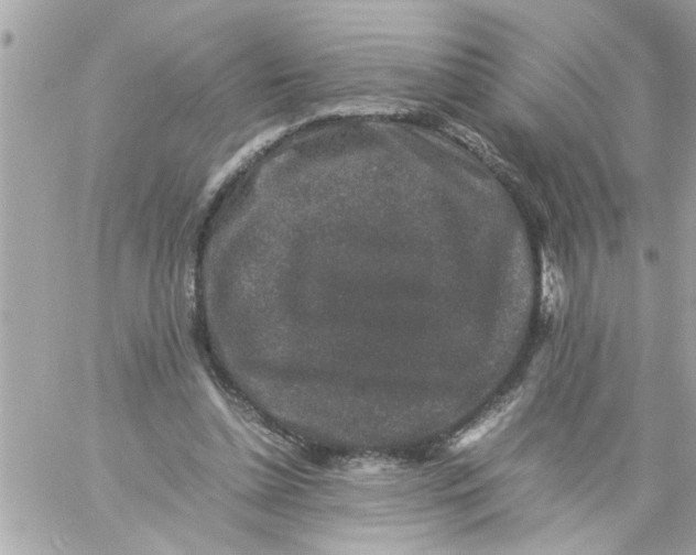 X0000057100348200510071943