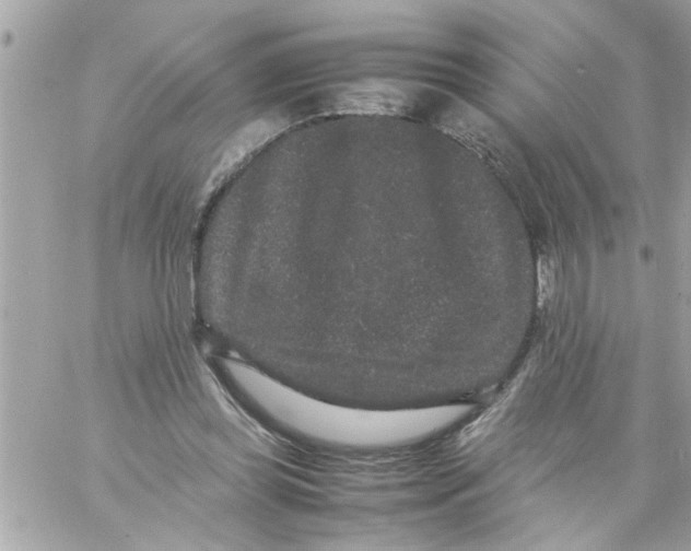 X0000057100349200510071943