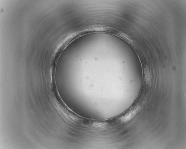 X0000057100350200510071943