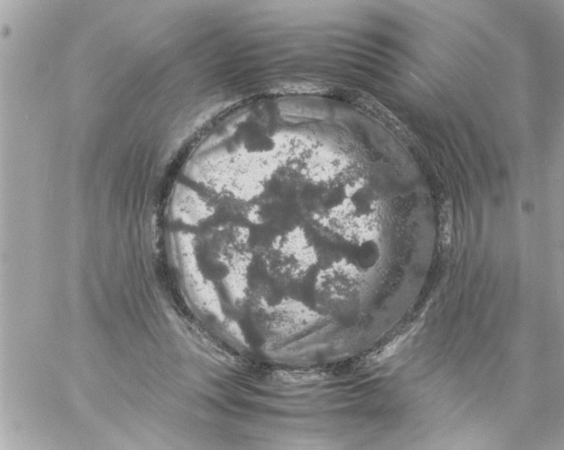 X0000057100351200510071943