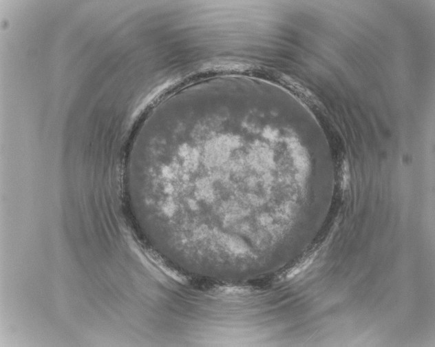 X0000057100352200510071943