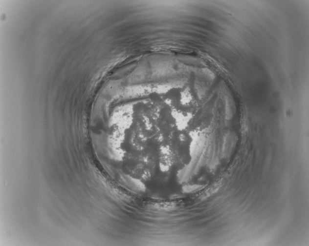 X0000057100353200510071943