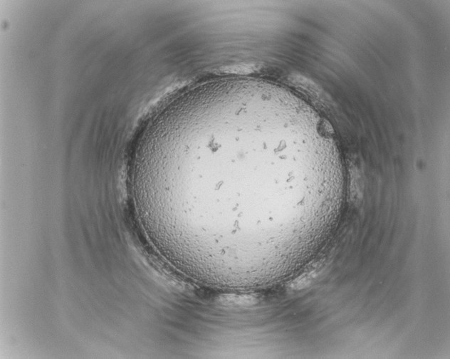 X0000057100354200510071943