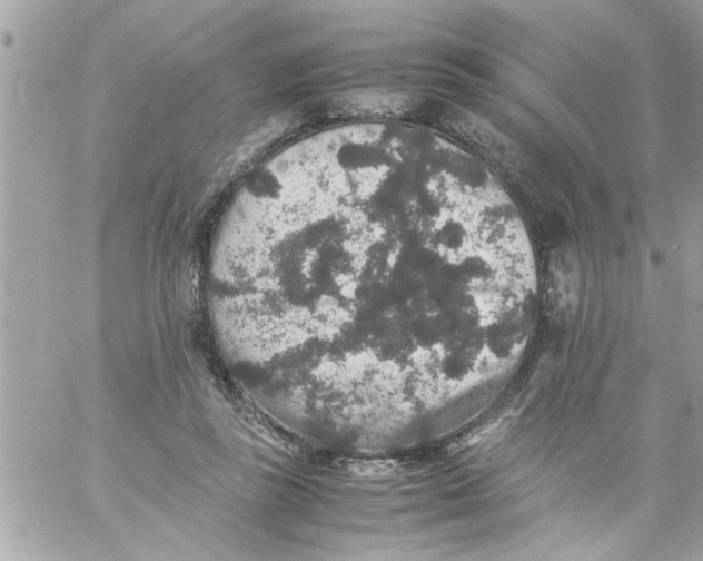 X0000057100355200510071943