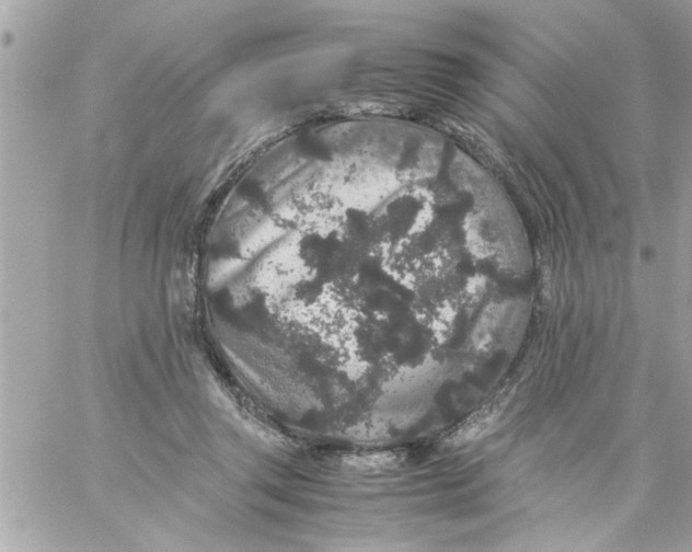 X0000057100357200510071943