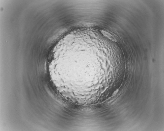 X0000057100358200510071943