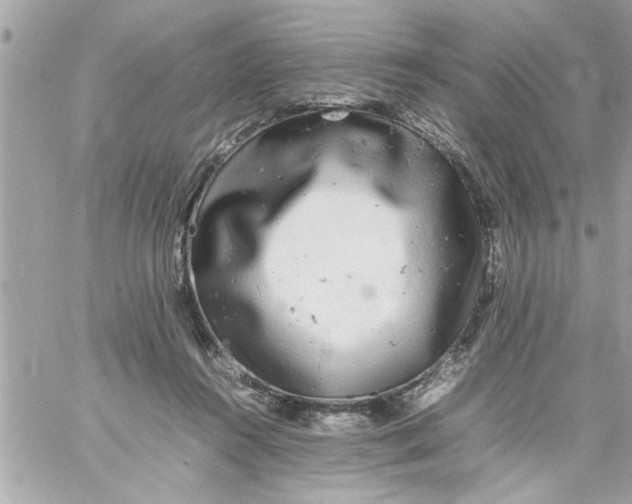 X0000057100360200510071943