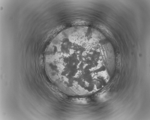 X0000057100361200510071943