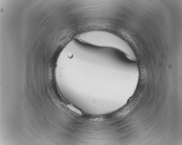 X0000057100362200510071943