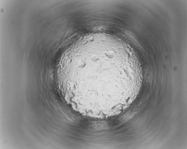 X0000057100363200510071943