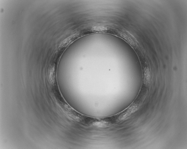 X0000057100364200510071943