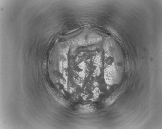 X0000057100365200510071943