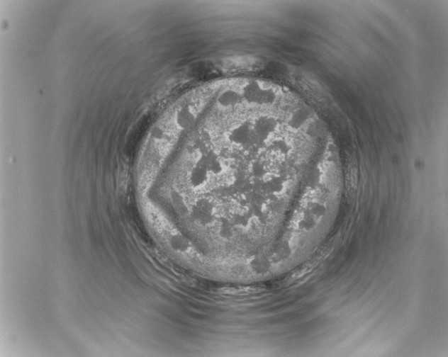 X0000057100367200510071943