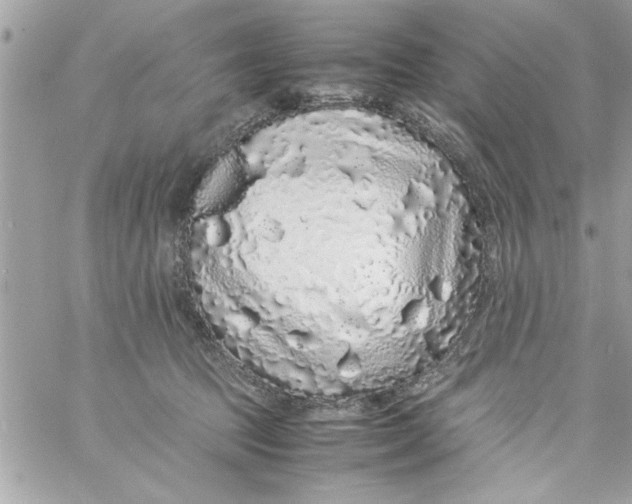 X0000057100369200510071943