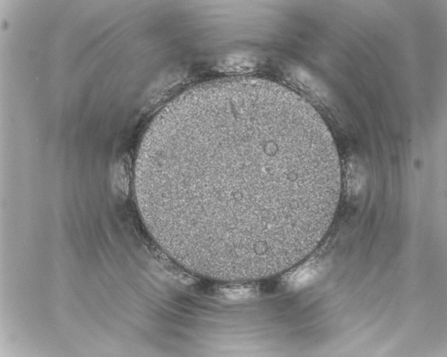 X0000057100370200510071943