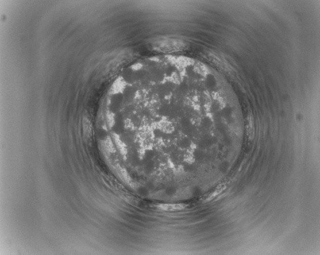 X0000057100371200510071943