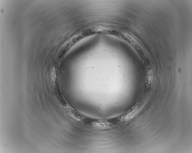 X0000057100372200510071943