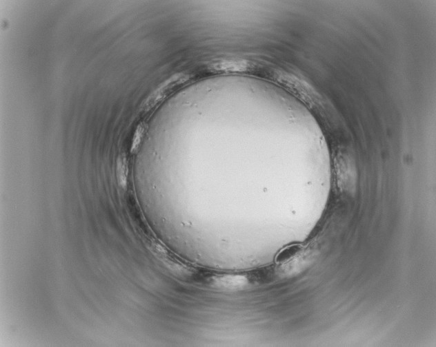 X0000057100374200510071943