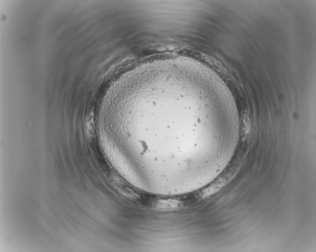 X0000057100376200510071943